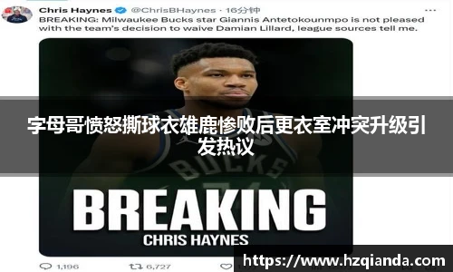 今年会官方网站